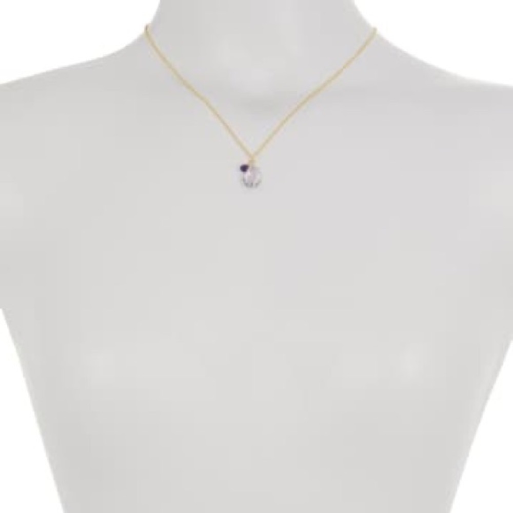 Candela 14K Gold Pink & Dark Amethyst Necklace